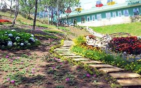 Rung Hoa Hotel